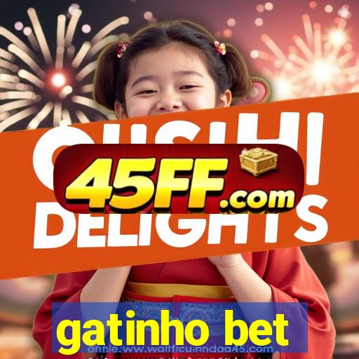 gatinho bet